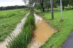 Hochwassereinsatz Wörth_040823_3